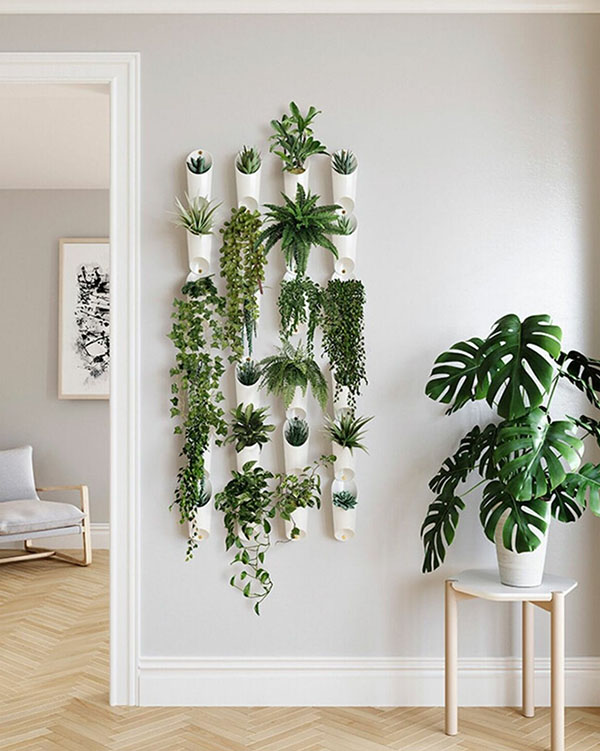 как украсить комнату растениями