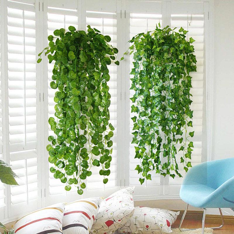 как украсить комнату вьющимися растениями